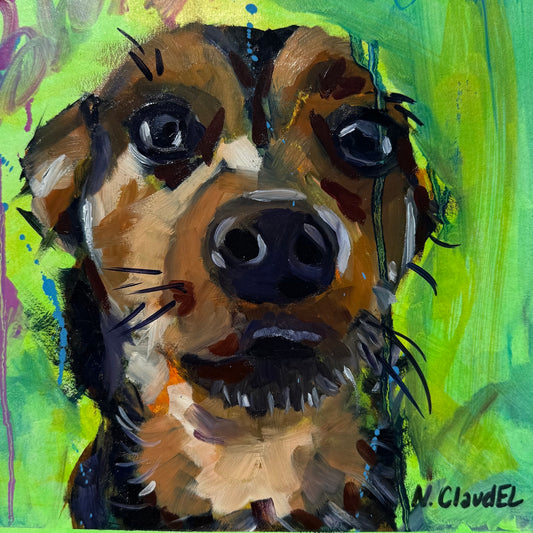Fur Friend 11