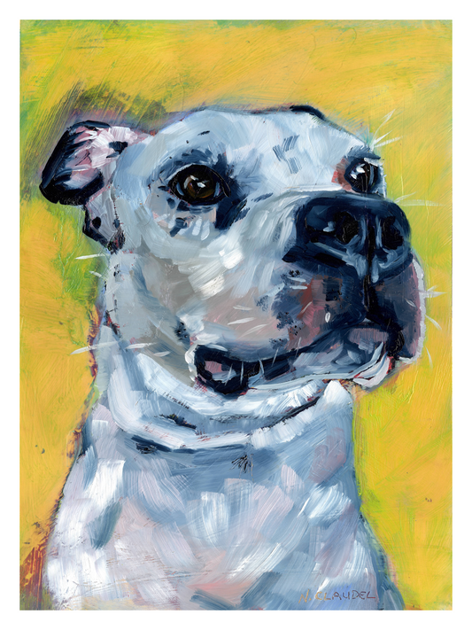 Fur Friend 1