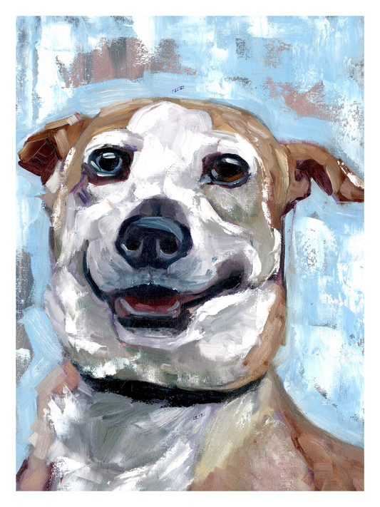 Fur Friend 10