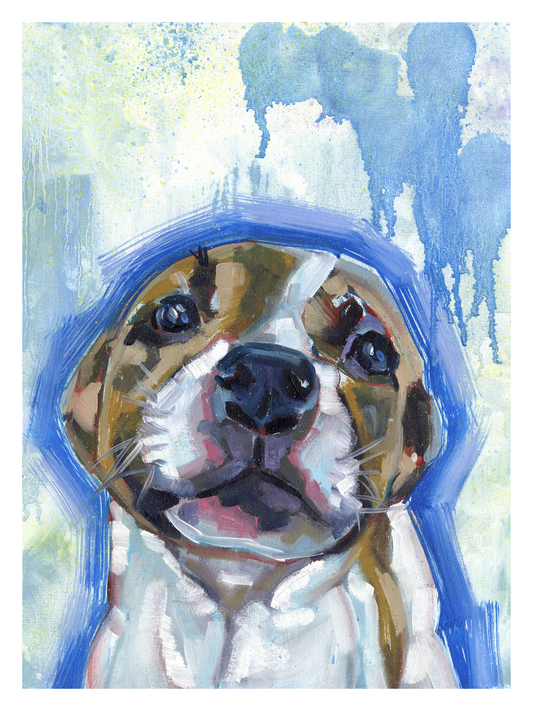 Fur Friend 7